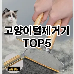 [베스트템] 고양이털제거기 추천 순위 TOP5 구매가이드