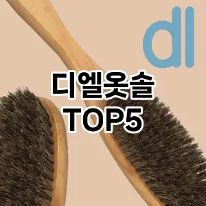 [솔직후기] 디엘옷솔 추천 순위 TOP5 구매가이드