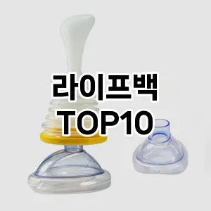 라이프백 추천 순위 TOP10 구매 가이드 12월 5주차