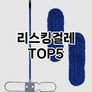 [솔직후기] 리스킹걸레 추천 순위 TOP5 구매가이드