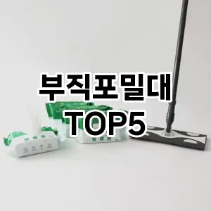 [할인추천] 부직포밀대 추천 순위 TOP5 구매가이드