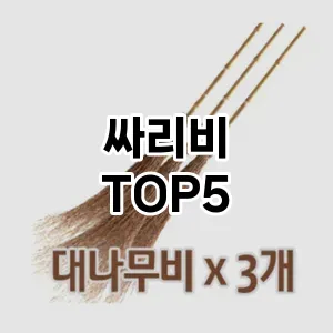 [특가추천] 싸리비 추천 순위 TOP5 구매가이드