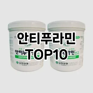 안티푸라민 추천 순위 TOP10 구매 가이드 12월 5주차