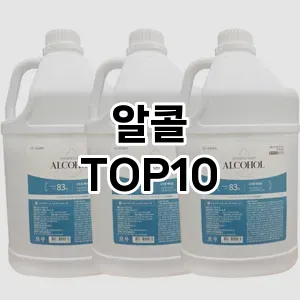 알콜 추천 순위 TOP10 구매 가이드 12월 5주차