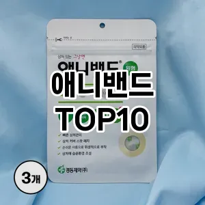 애니밴드 추천 순위 TOP10 구매 가이드 12월 5주차