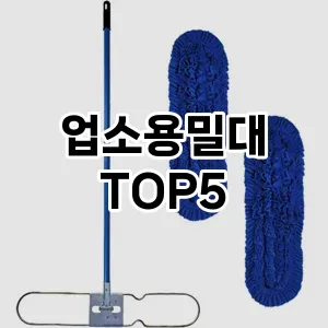 [추천특가] 업소용밀대 추천 순위 TOP5 구매가이드