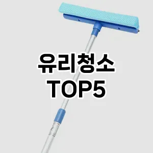 [리얼리뷰] 유리청소 추천 순위 TOP5 구매가이드