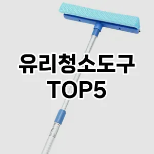 [할인제품] 유리청소도구 추천 순위 TOP5 구매가이드