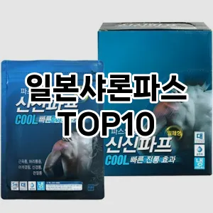 일본샤론파스 추천 순위 TOP10 구매 가이드 12월 5주차