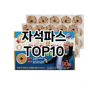 자석파스 추천 순위 TOP10 구매 가이드 12월 5주차