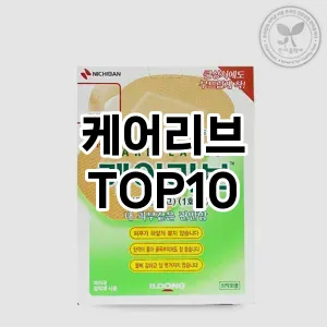 케어리브 추천 순위 TOP10 구매 가이드 12월 5주차