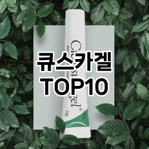 큐스카겔 추천 순위 TOP10 구매 가이드 12월 5주차