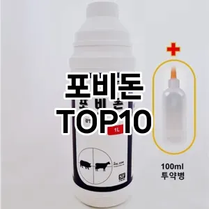 포비돈 추천 순위 TOP10 구매 가이드 12월 5주차