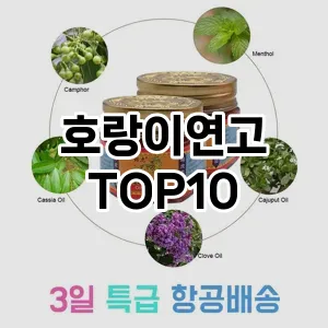 호랑이연고 추천 순위 TOP10 구매 가이드 12월 5주차