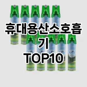 휴대용산소호흡기 추천 순위 TOP10 구매 가이드 12월 5주차