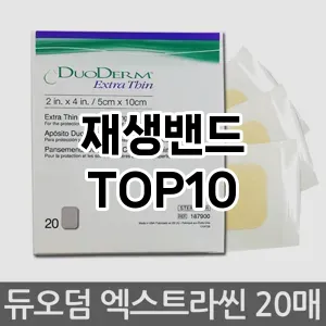 재생밴드 추천 순위 TOP10 구매 가이드 12월 5주차