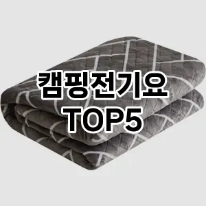 [특가추천]캠핑전기요 추천 순위 | 구매 가이드 | 후기 | 가격